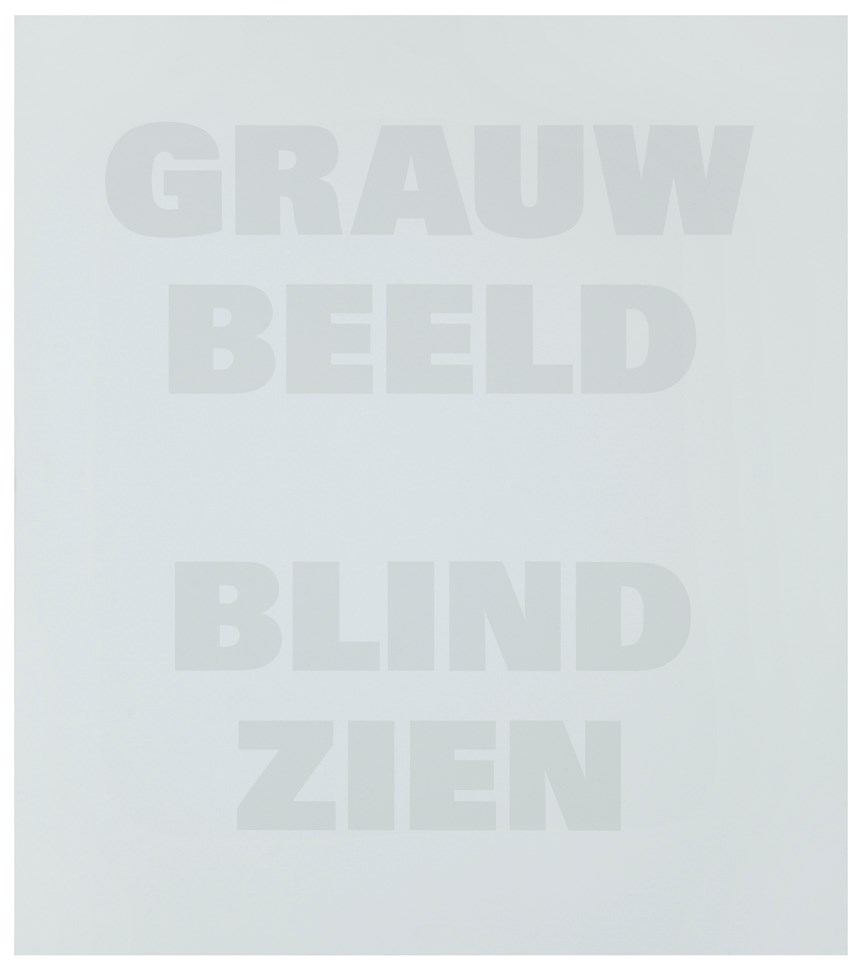 Grauw Beeld Blind Zien